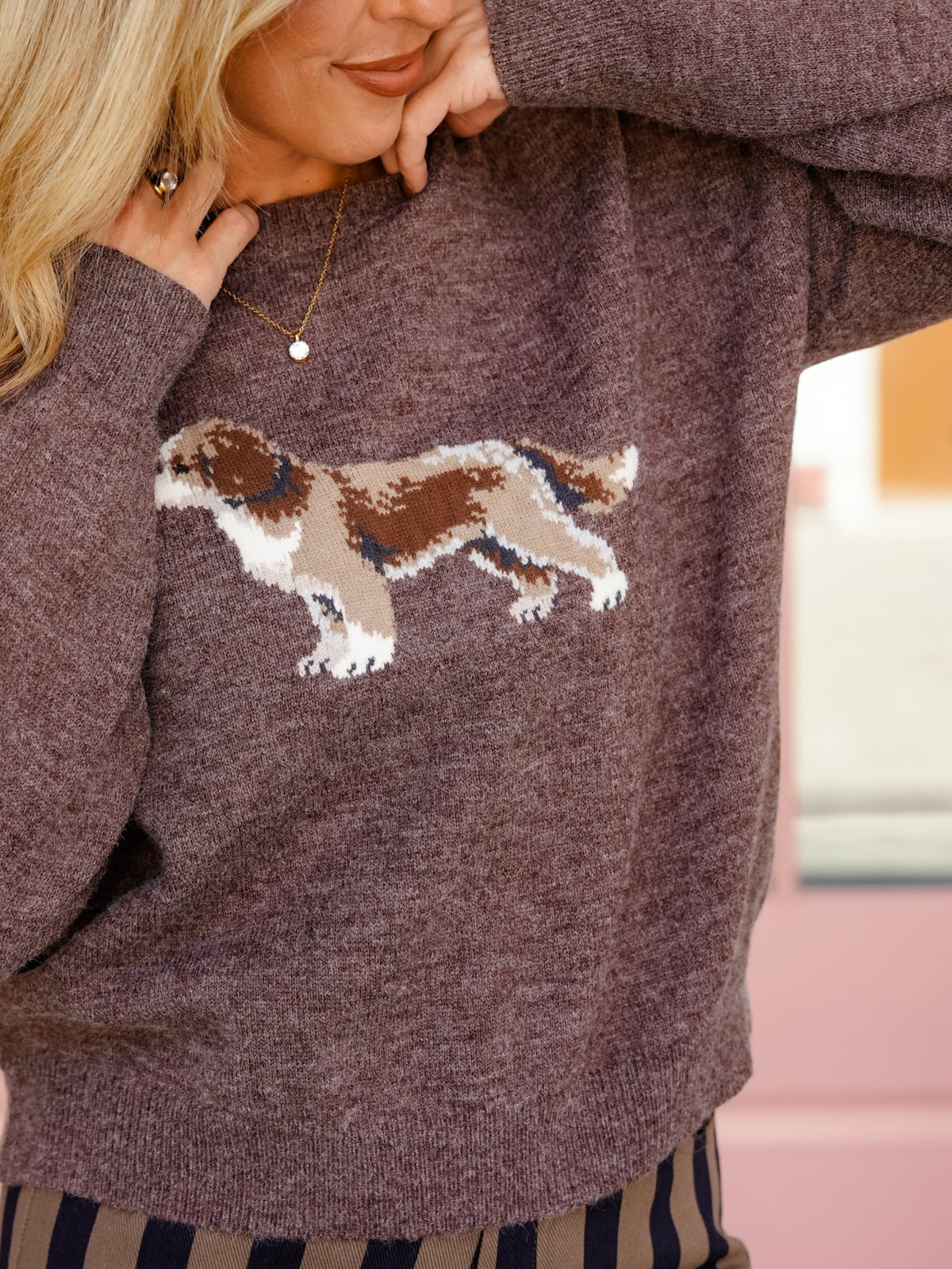 Brown Long Sleeve Cocker Spaniel Pullover Sweater