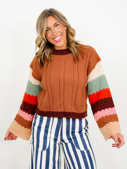 Plus/Reg Cable Knit Pullover Sweater with Rainbow Sleeves