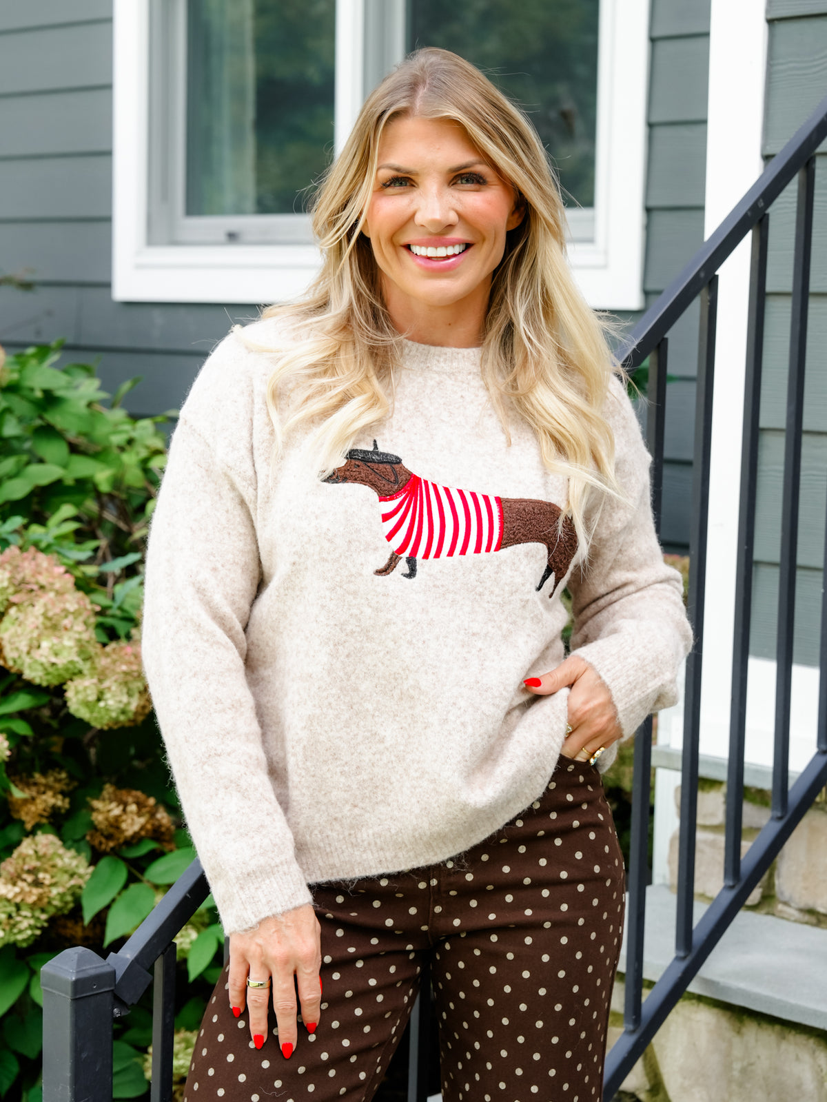 Plus/Reg Embroidered Parisian Dog Long Sleeve Sweater