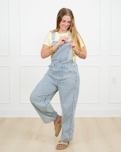 Plus/Reg Stripe Pattern Barrel Leg Overalls - Freckled Poppy