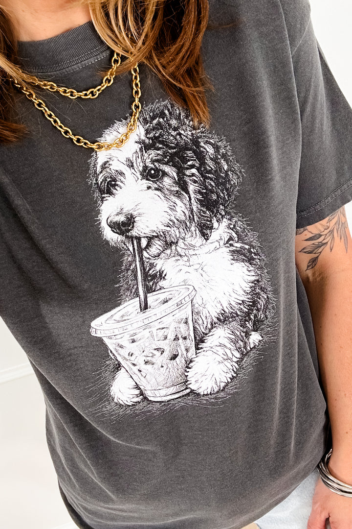 Plus/Reg Short Sleeve "Ringo" Graphic Tee - Freckled Poppy
